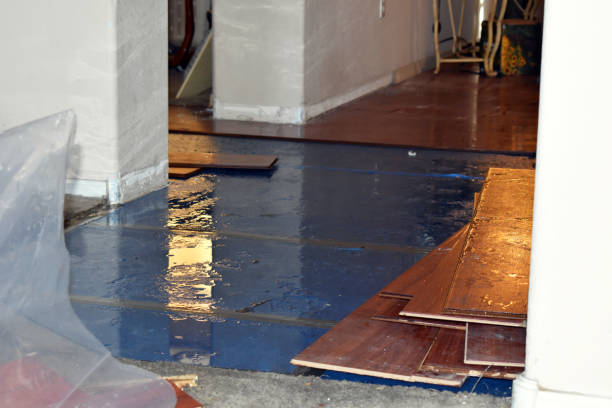 Professional Flood Cleanup technician working in Oradell, NJ