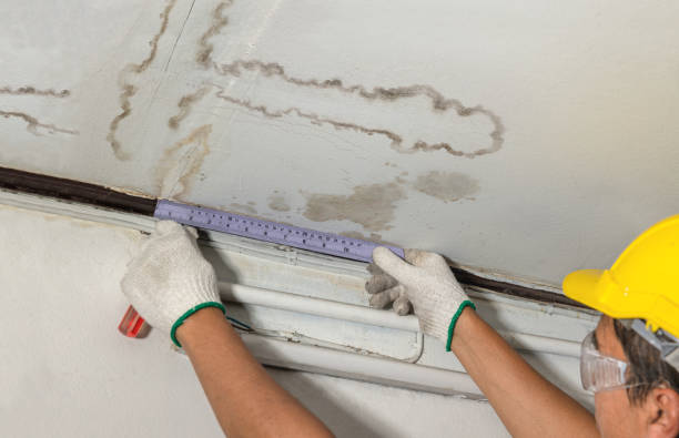 Reliable Flood Cleanup contractor in Oradell, NJ by Water Damage Irwin